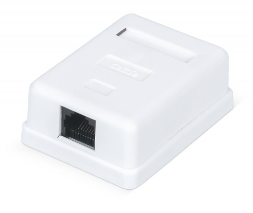 Розетка компьютерная RJ-45, категория 5e, неэкранированная, одинарная, внешняя, Dual IDC, цвет белый