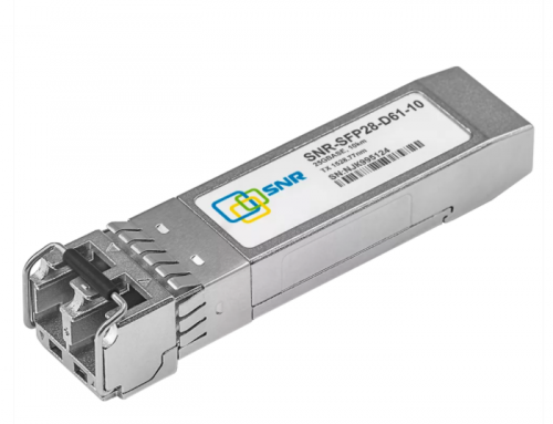 SNR-SFP28-D61-10Screenshot_2