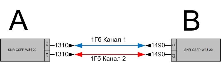 SNR-CSFP-20(1)