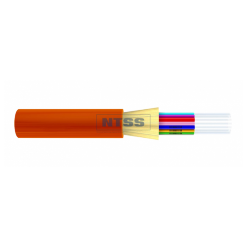 NTSS-FO-D-IN-9-24-LSZH