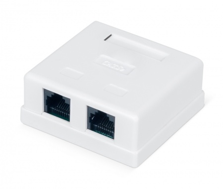 Розетка компьютерная RJ-45, категория 5e, неэкранированная, двойная, внешняя, Dual IDC, цвет белый-0